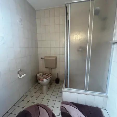 Schneider 鲍姆霍尔德尔